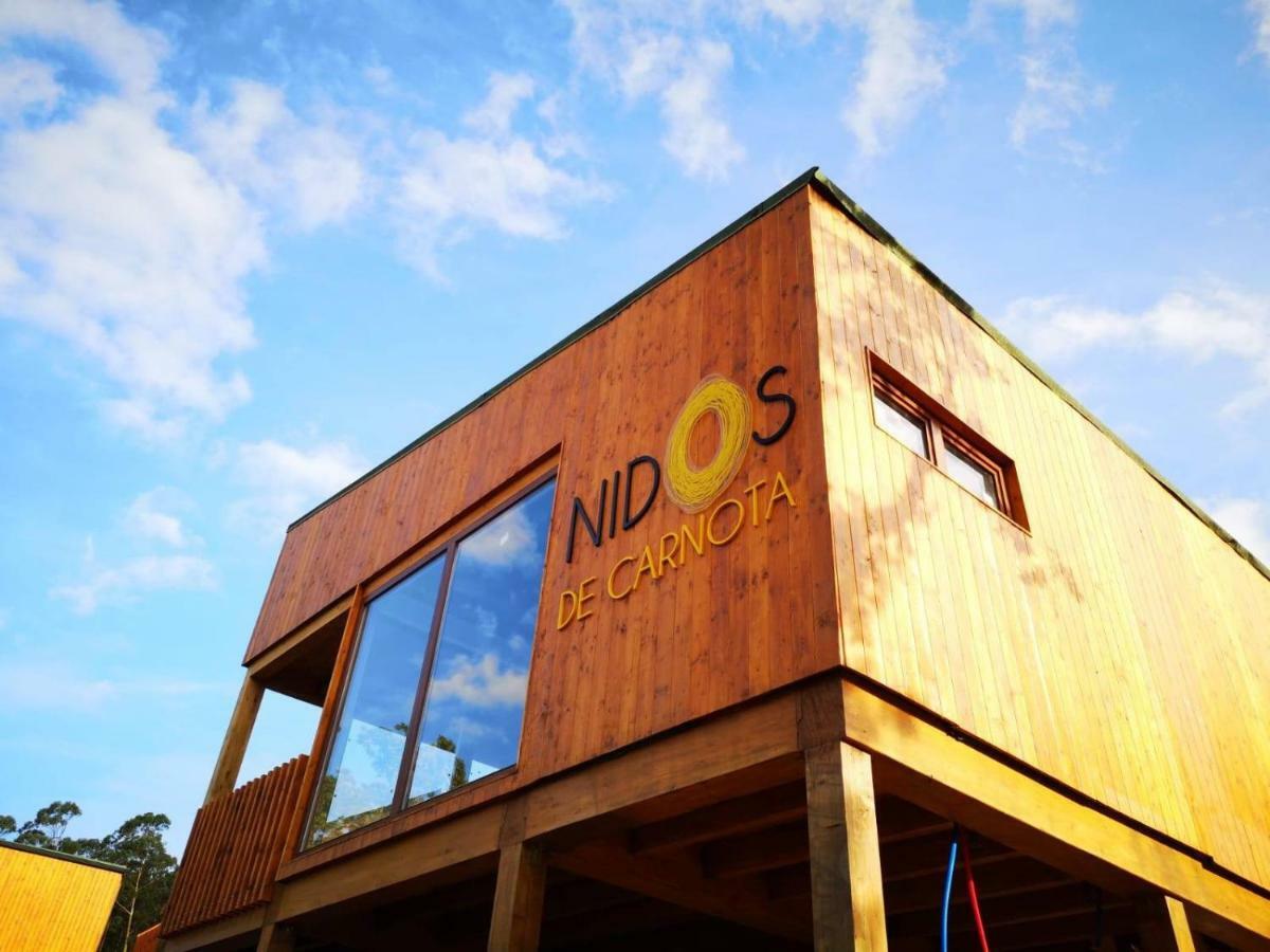 Nidos De 3*