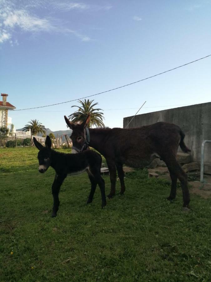 Pagoederraga Farm stay Orio
