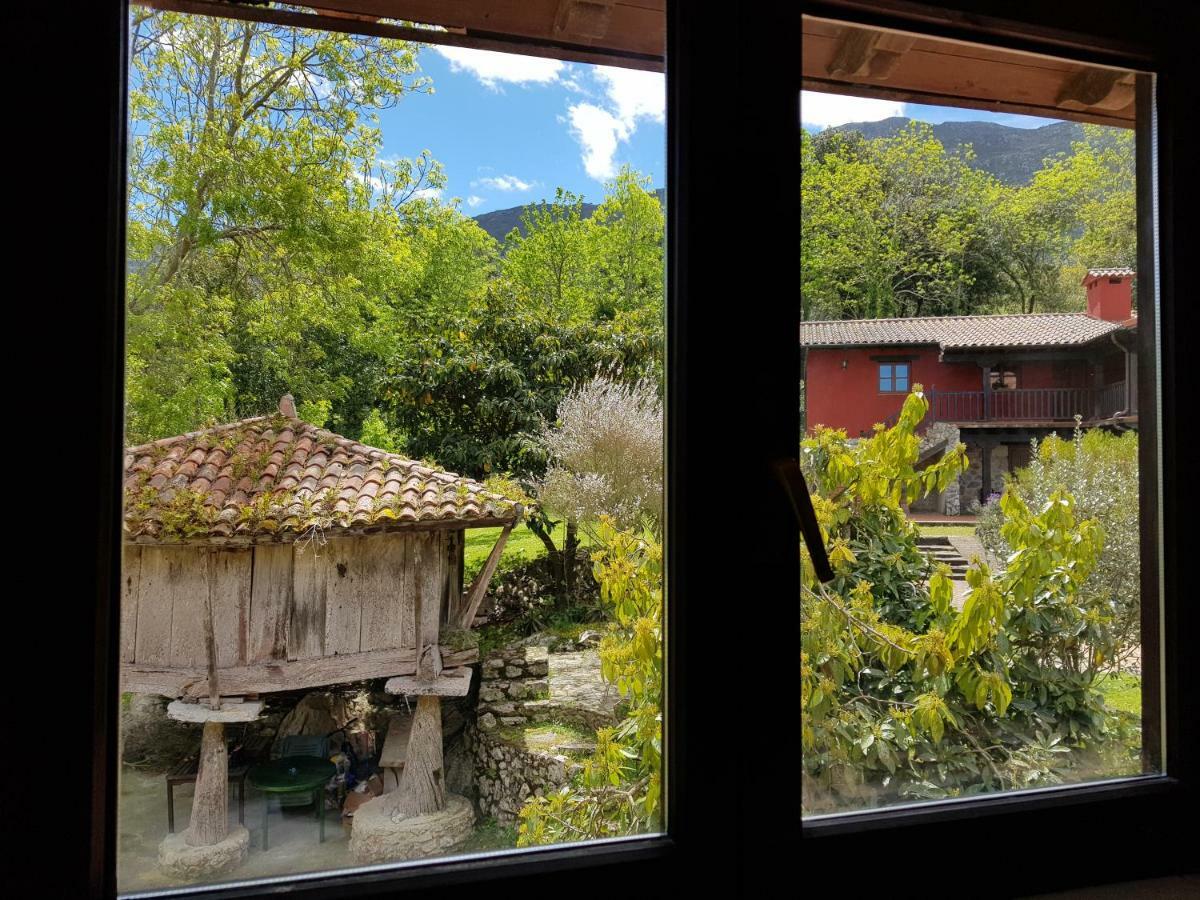 Amaicha Rural