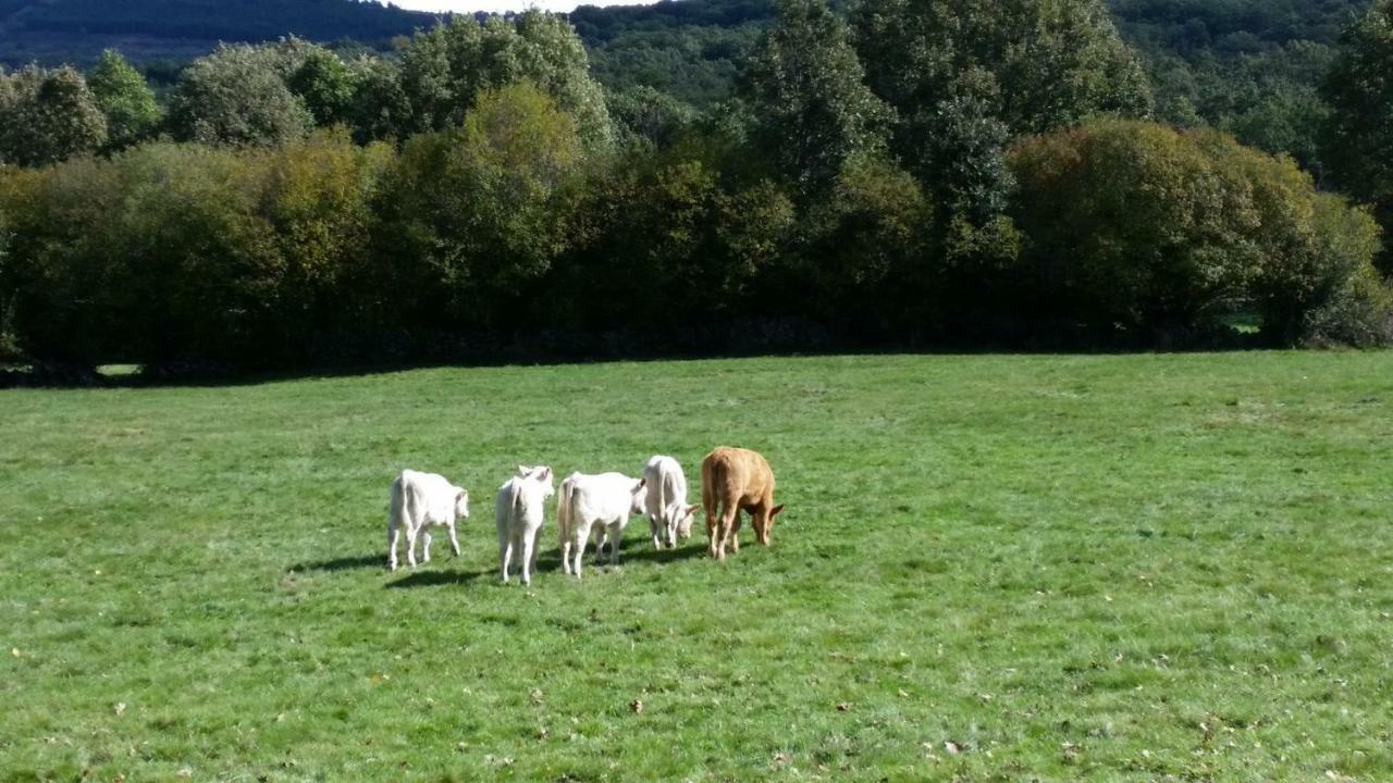 Сasa de vacaciones Loboratorio Rural-cuenta Hasta 3 Umbrías
