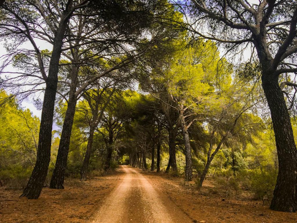 Country house Monte Higueras *