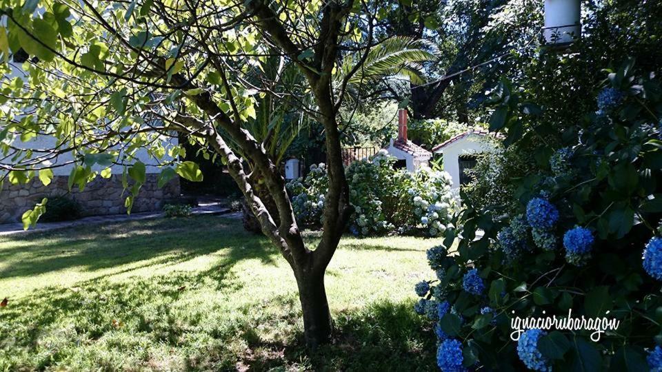Madruga Country house