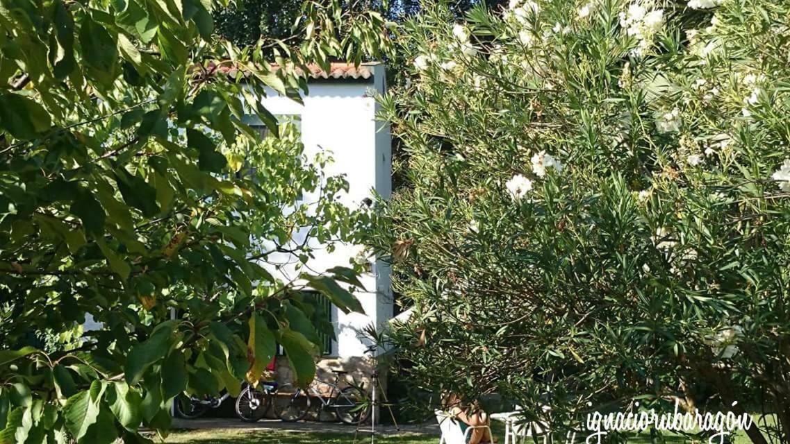Madruga Country house *