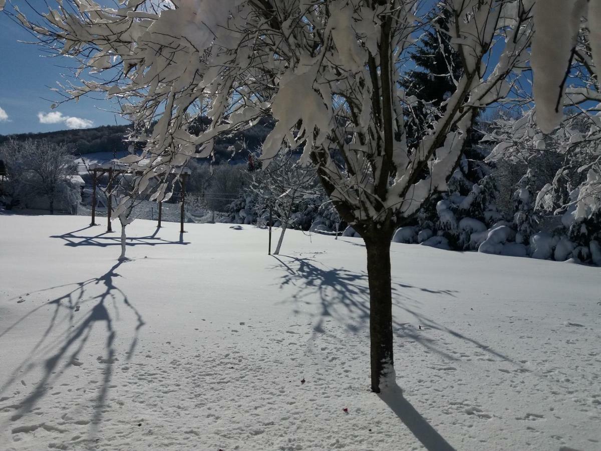 Apartment Goizeder Espinal-Auzperri