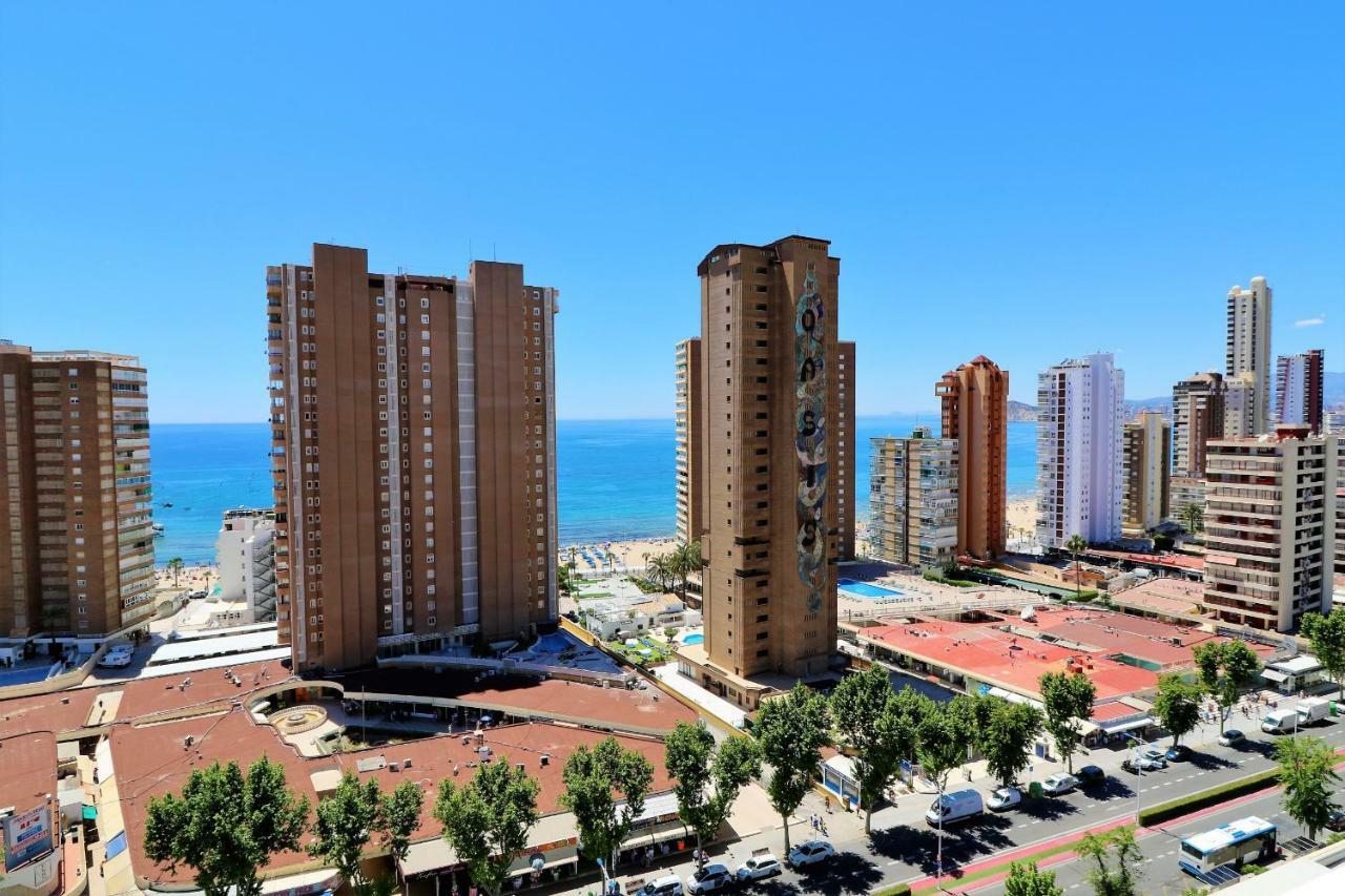 Albatros 17-5 Apartamento