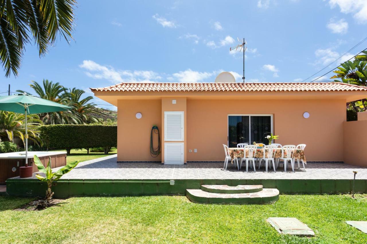 Сasa de vacaciones La Gaviota - Palmeras
