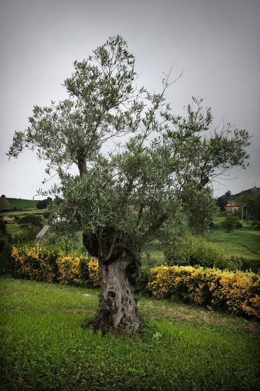 La Solana Casa rural