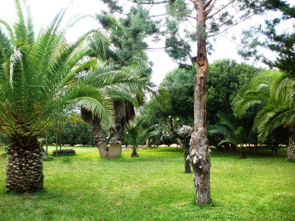 Casa rural Finca S'aigo
