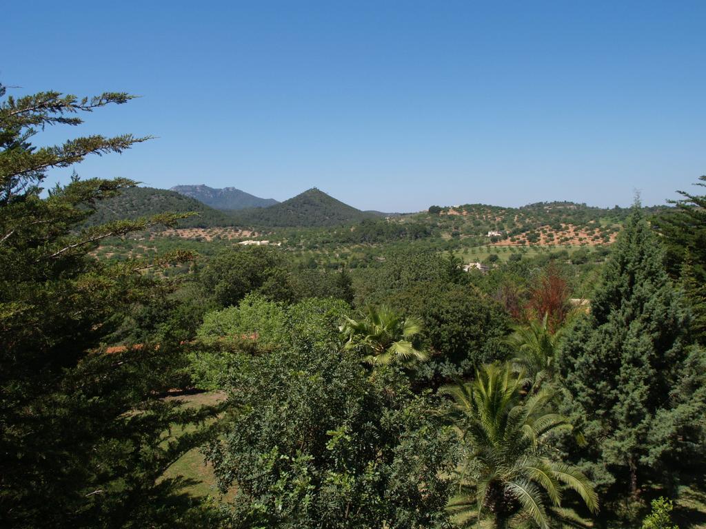Finca S'aigo Casa rural