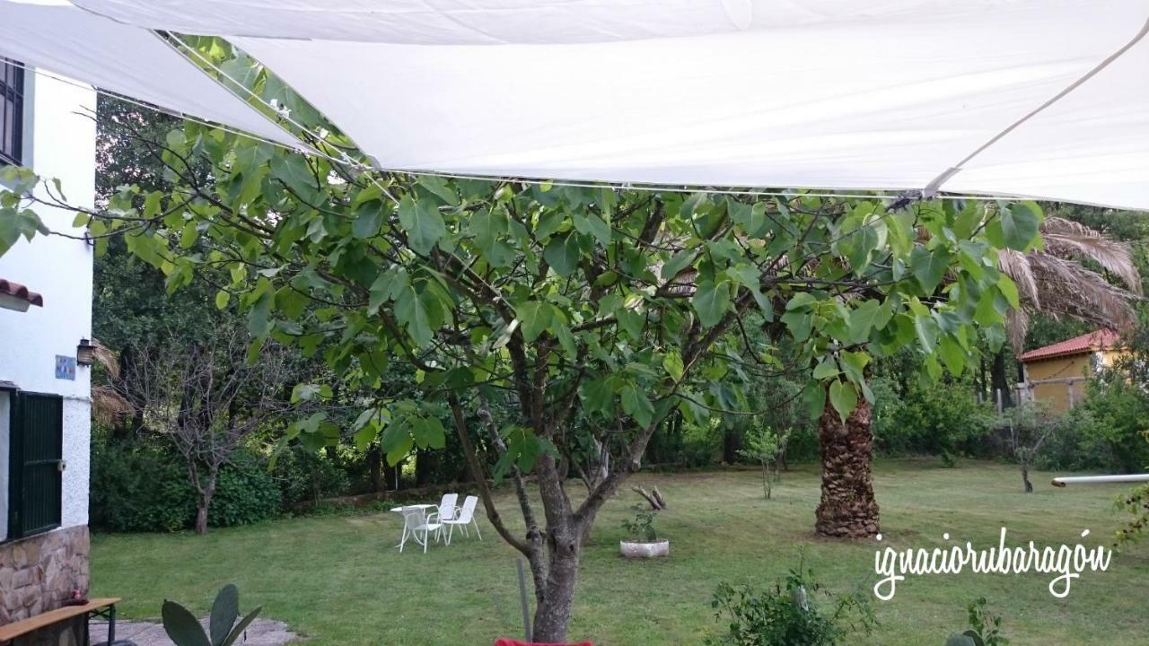 Madruga Country house