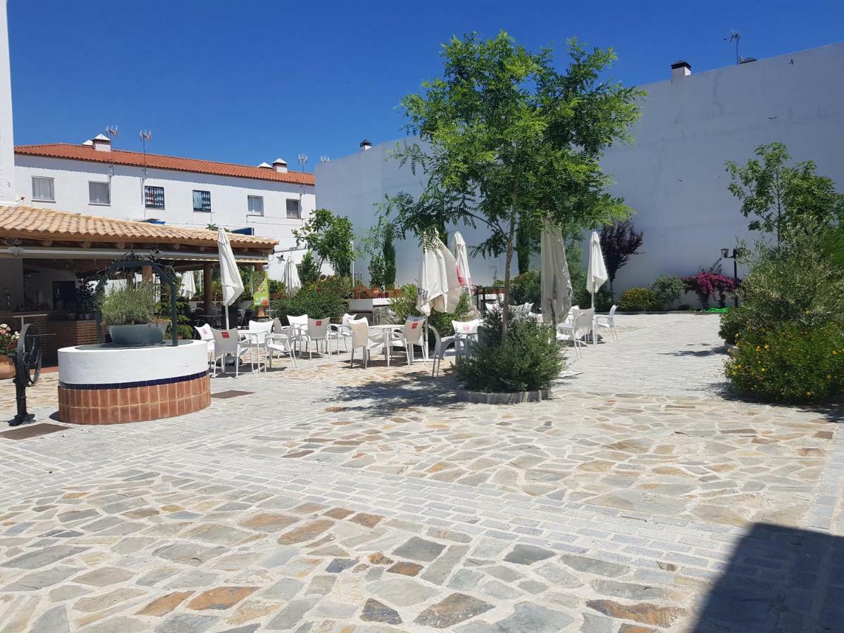 Entreolivos El Pedroso