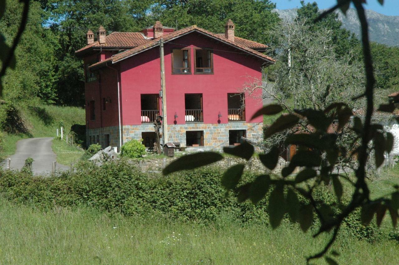 Rural El Texu 2*