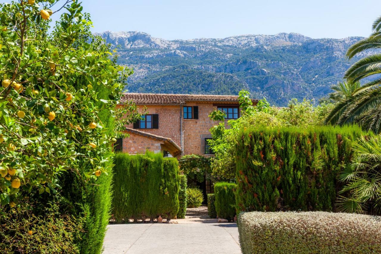 Ca's Curial - - Adults Only * Sóller