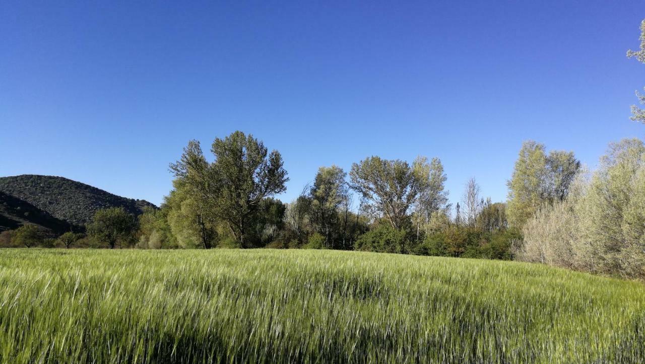 Proyecto Natura Pensión