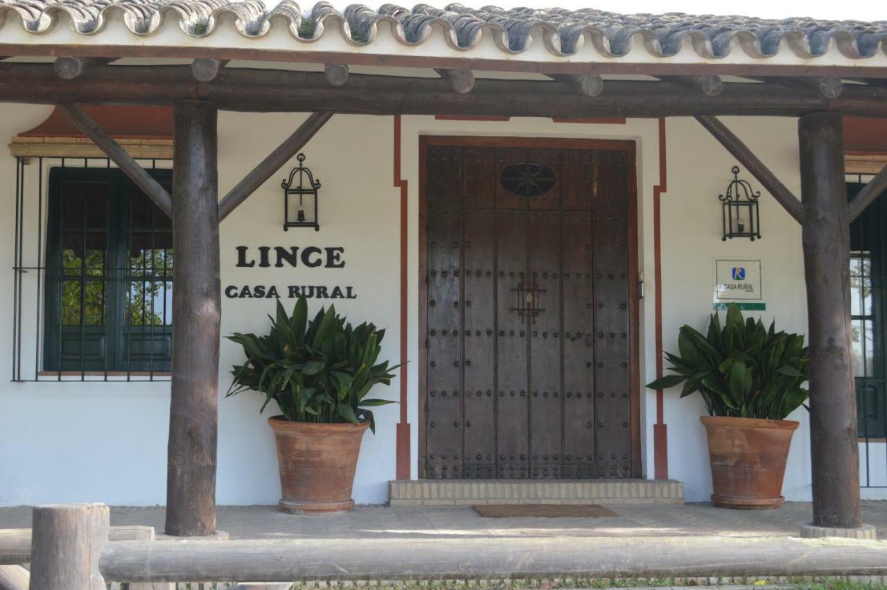 Lince