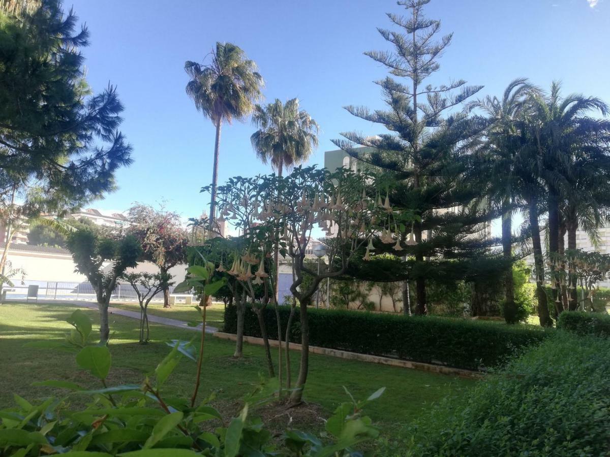 Parque Iv *