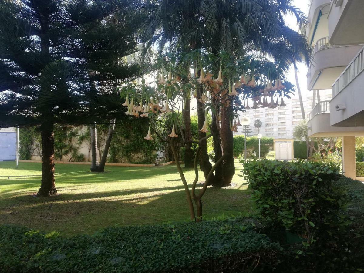 Parque Iv Apartamento