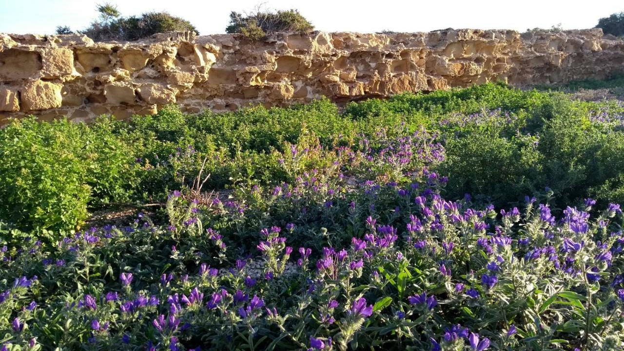 Bed and breakfast Calatabarca Isla de Tabarca