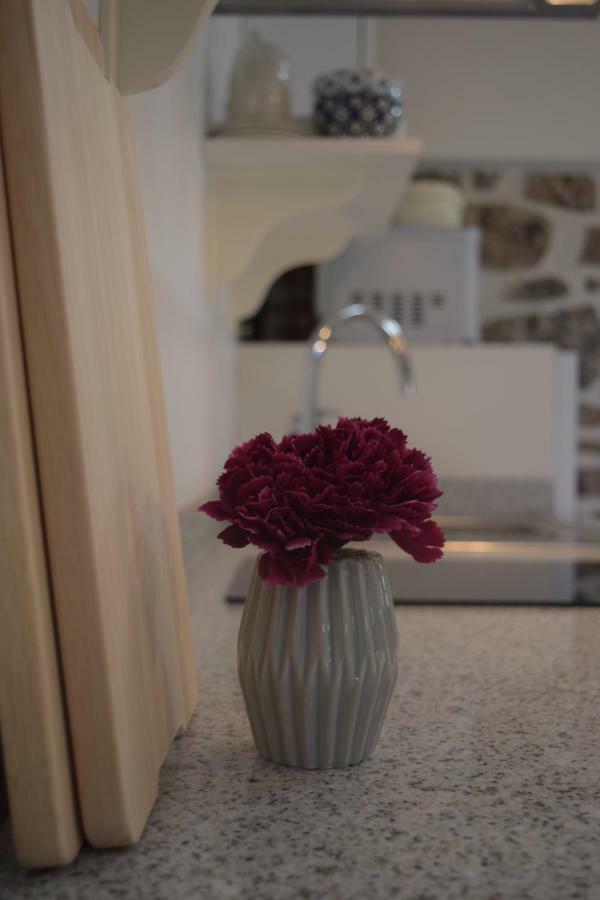 Apartamento Rurales Batxillerenea Doneztebe