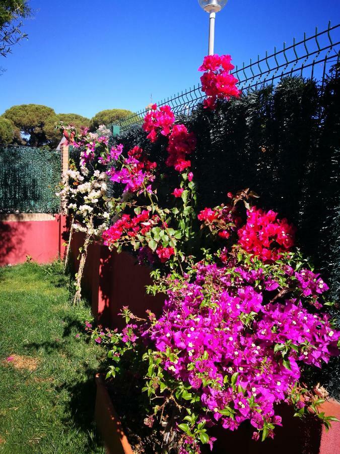 Bed and breakfast Le Ali Del Cuore