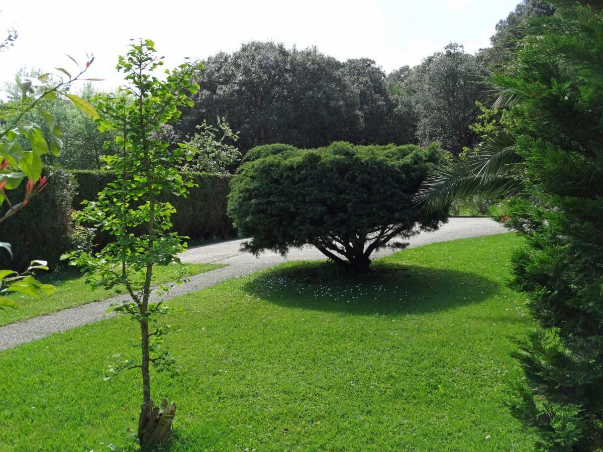 Bed & Breakfast Landarte Zumaia