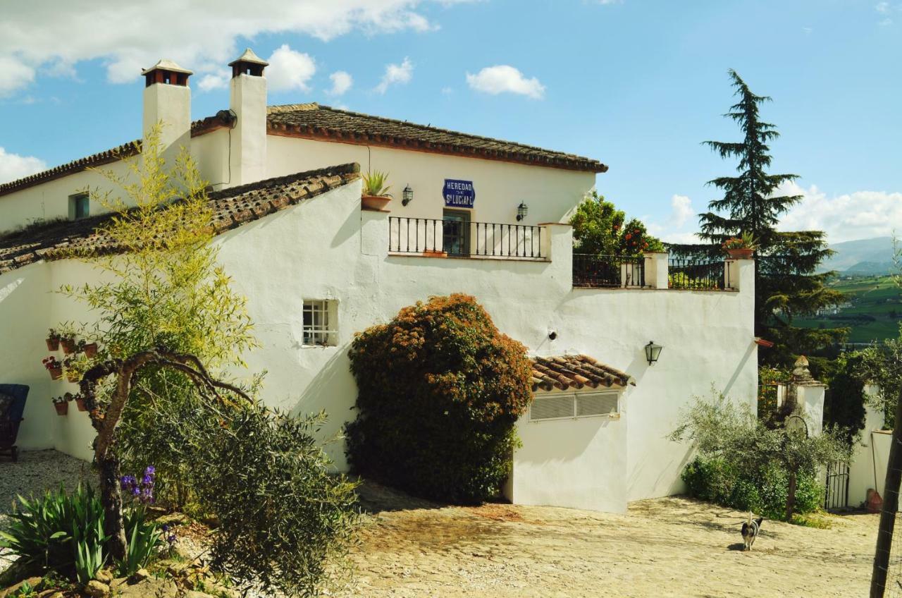 Villa The White Olive