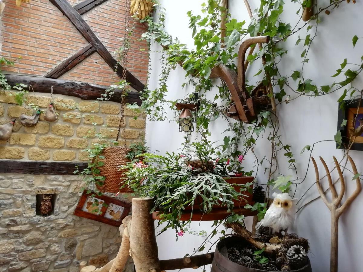 Samelar Apartment
