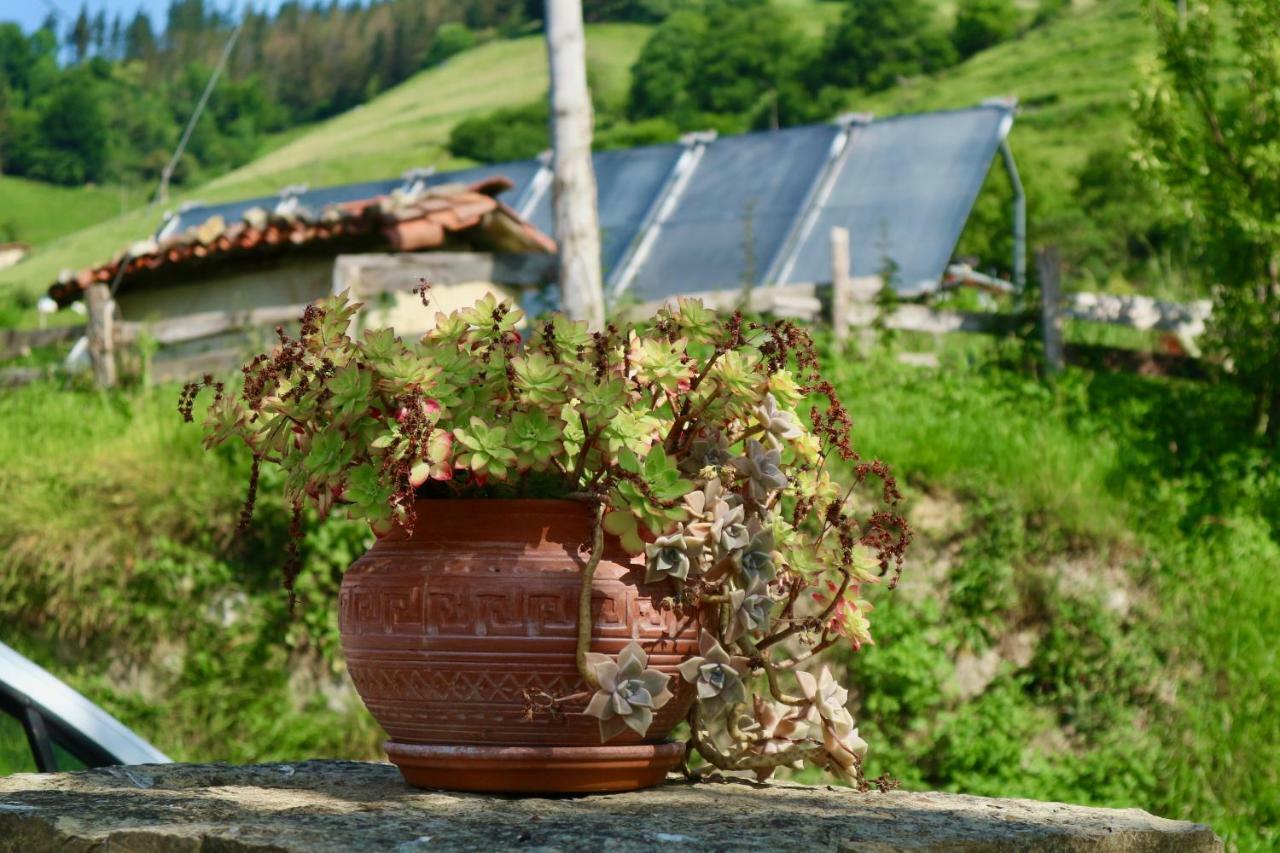 Sosola Baserria * Eibar