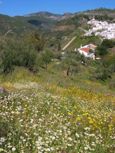 Finca El Cerrillo *