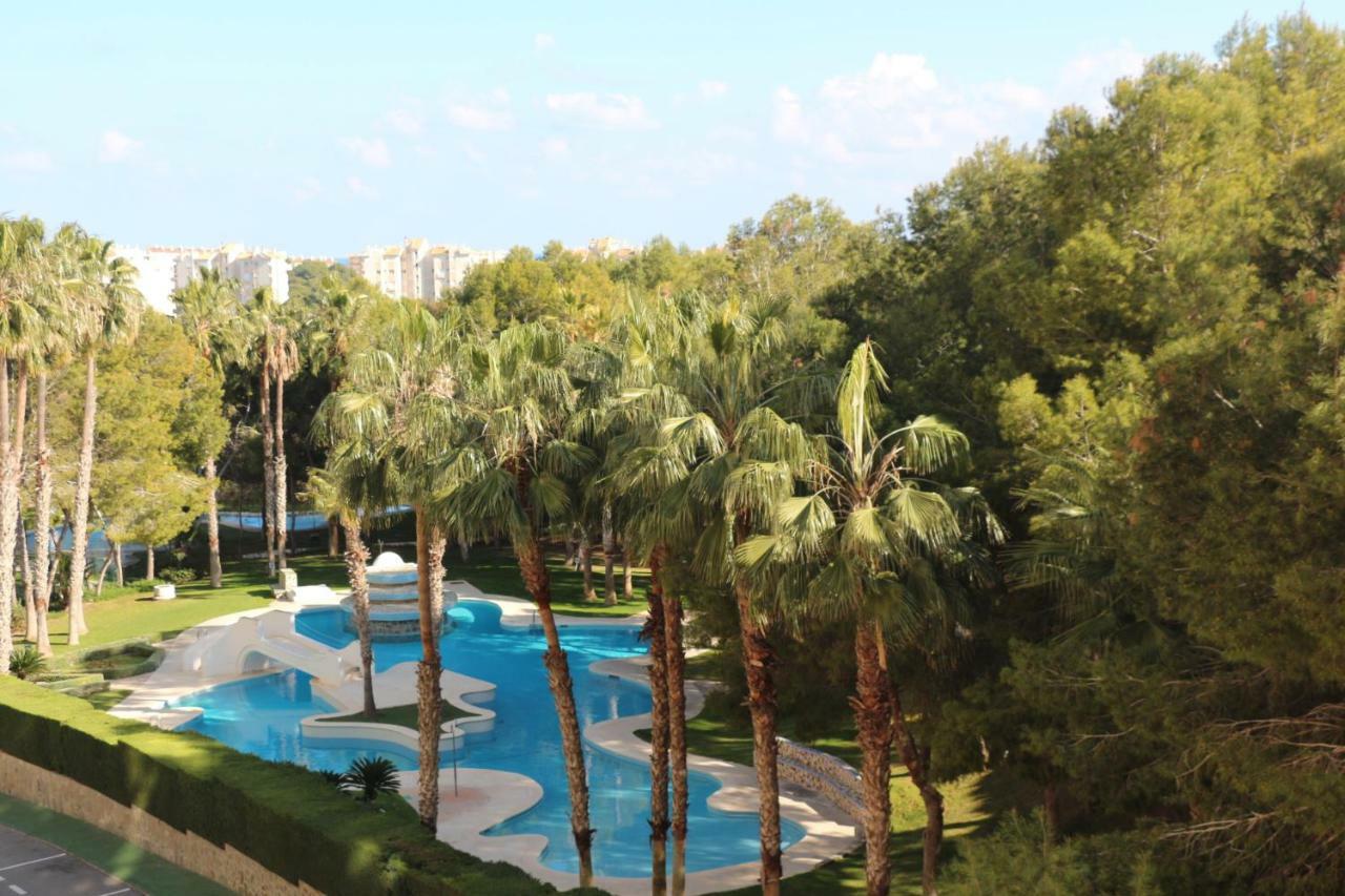 In Overlooking The Swimming Pool Apartment Campoamor