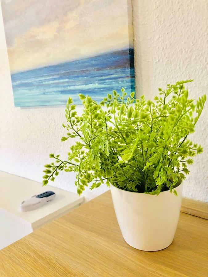 Apartamento Impresionante 1ª Línea De Playa... *