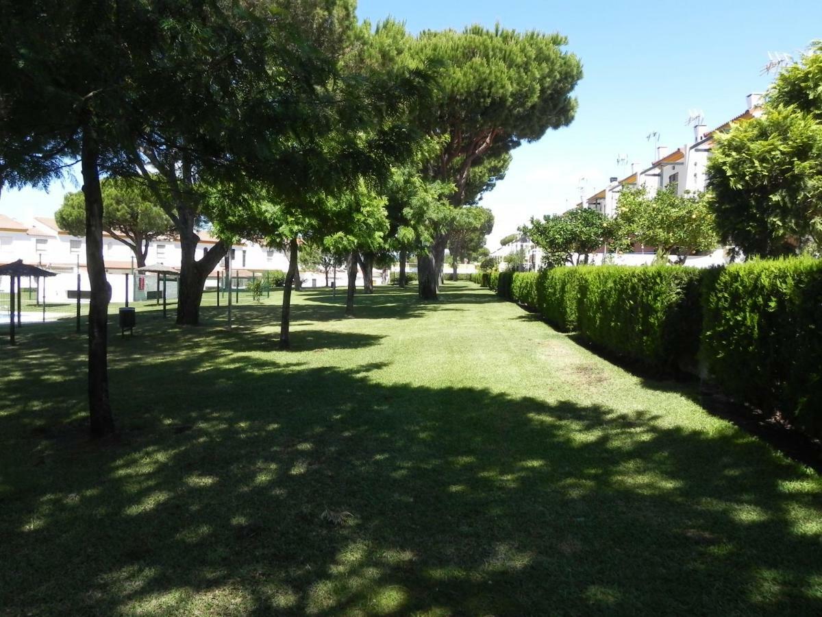 Faro Ii