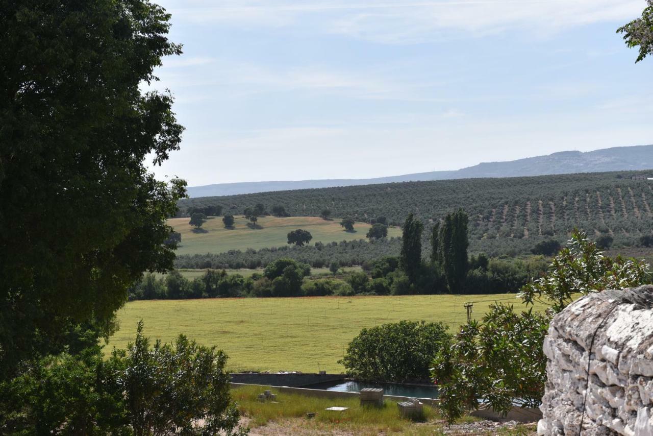 Turísticos La Teja Arroyo del Ojanco