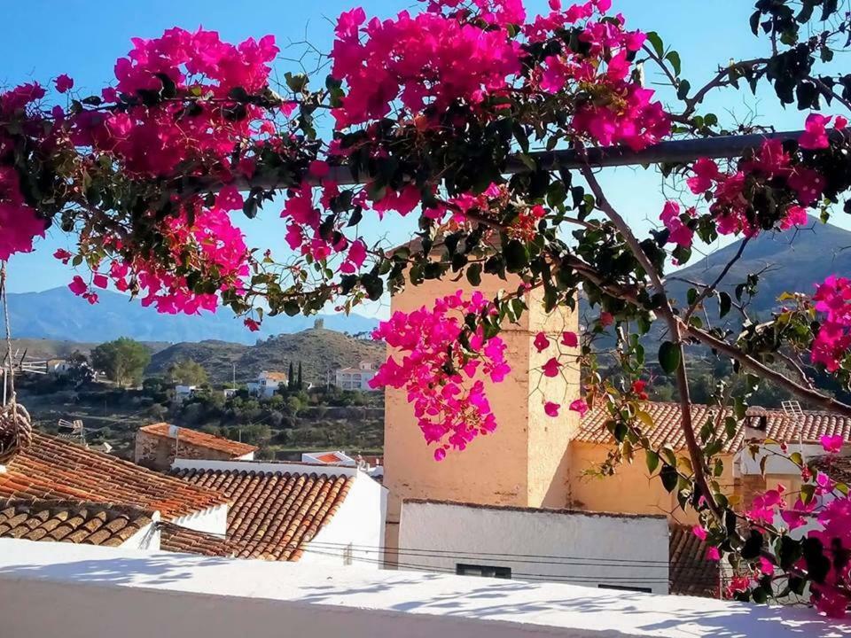 Bed and breakfast Casa Caballito De Mar Boutique