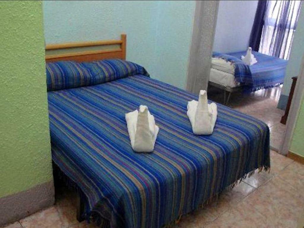 Eden Guest house