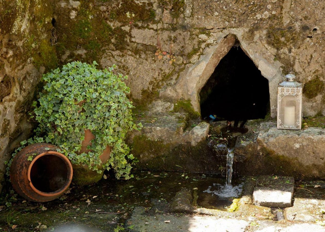 Jardines Pazo A Fabrica