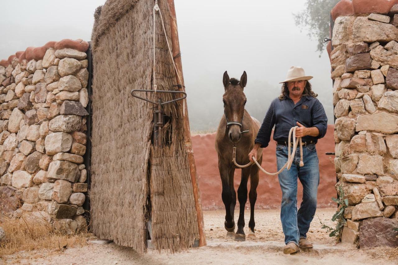 La Donaira Casa rural Montecorto