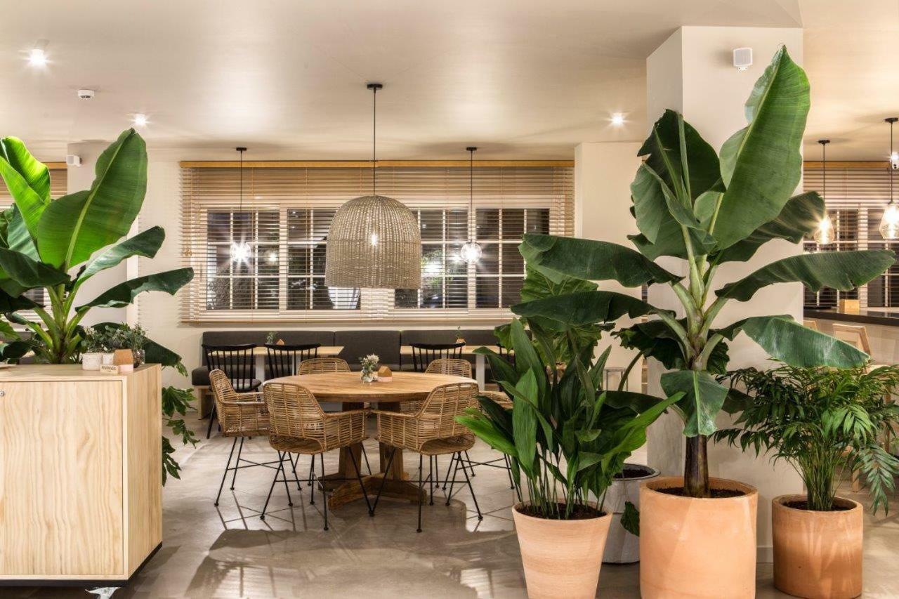 Apartamento Dena Coirón