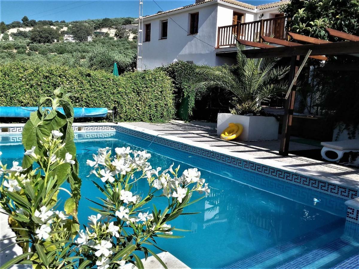 Cortijo Berruguilla * Lojilla