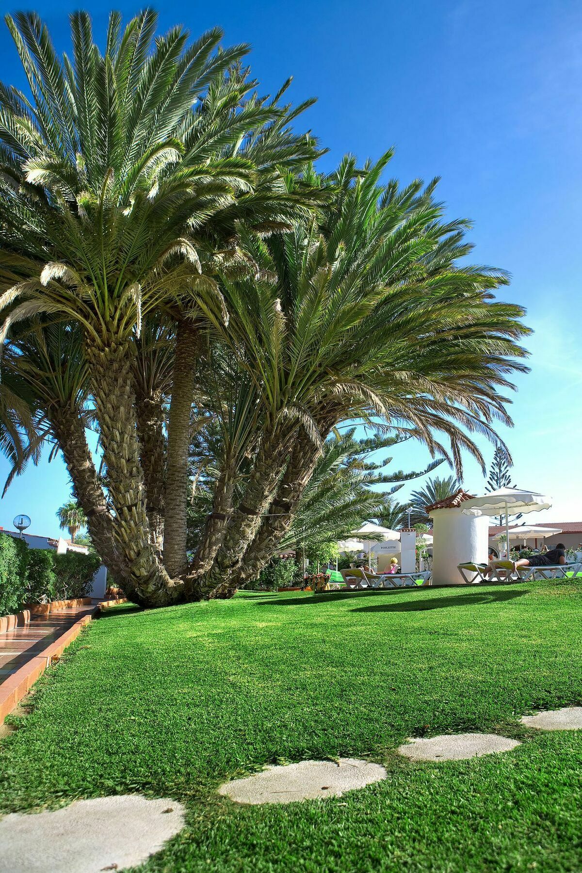 Hotel Parque Del Paraiso Ii Playa del Ingles (Gran Canaria)