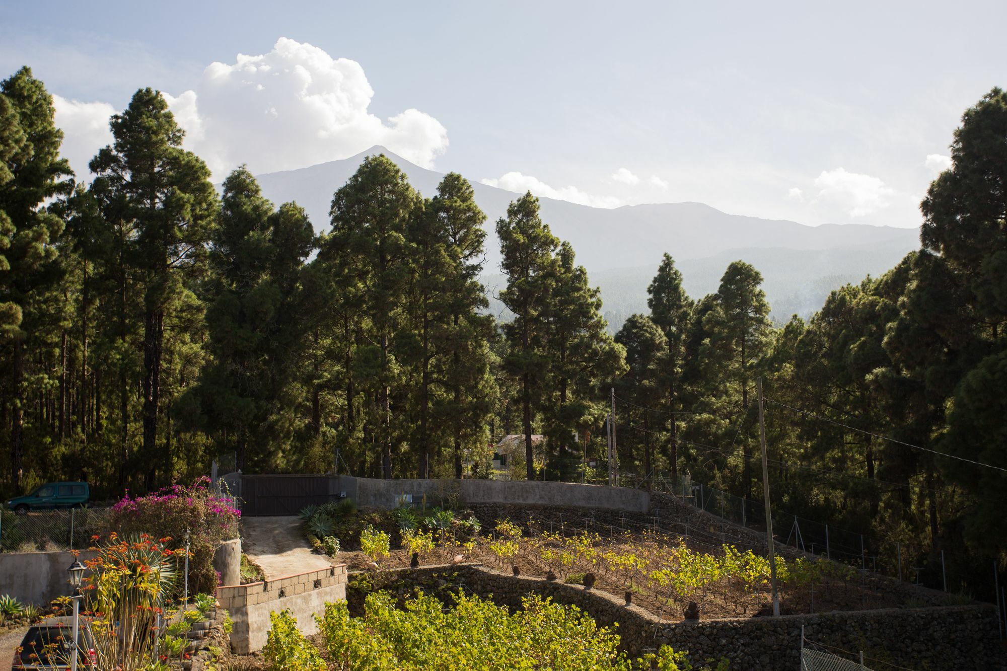 Casa Yaya Icod De Los Vinos