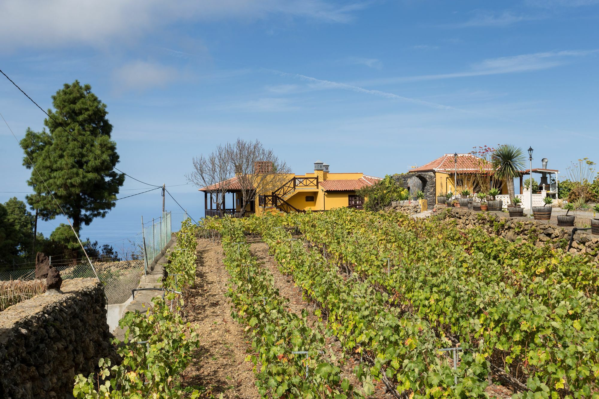 Casa Yaya *