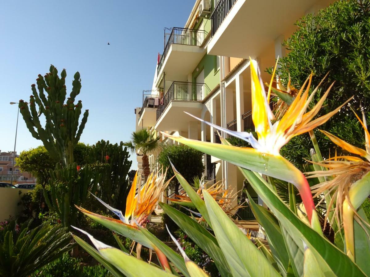 Apartment Brisas Del Mar Azul