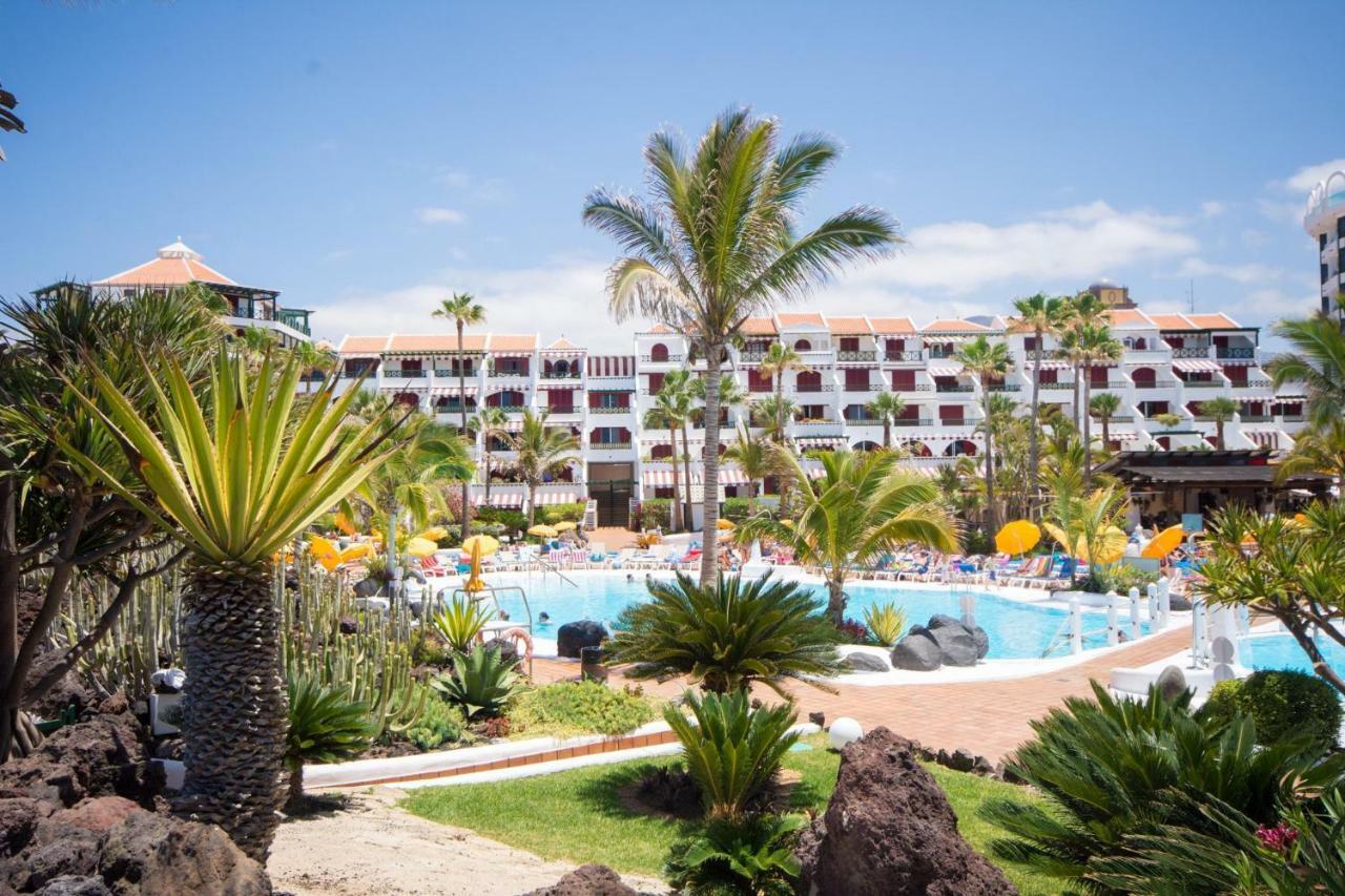 Park Santiago Iv 83 - Studio Playa de las Americas (Tenerife)