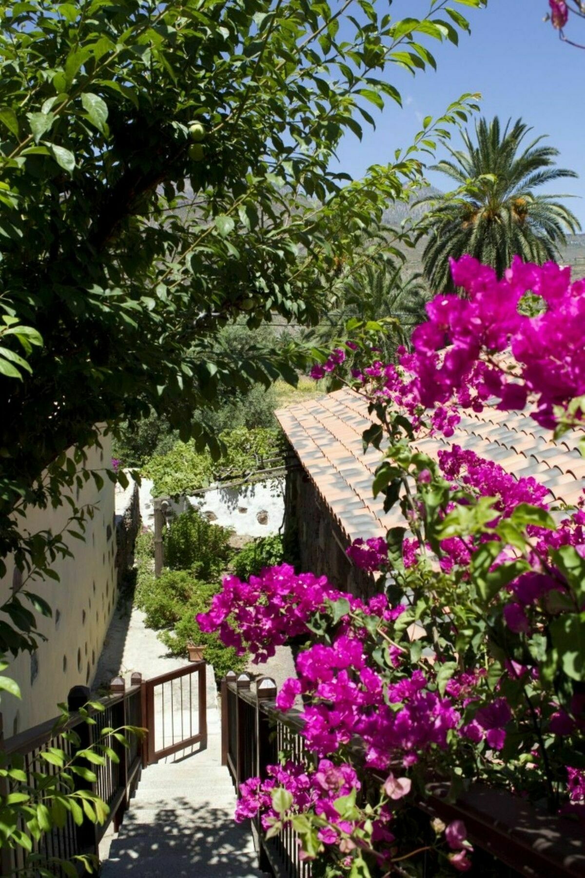 Apartamento 106067 - House In *
