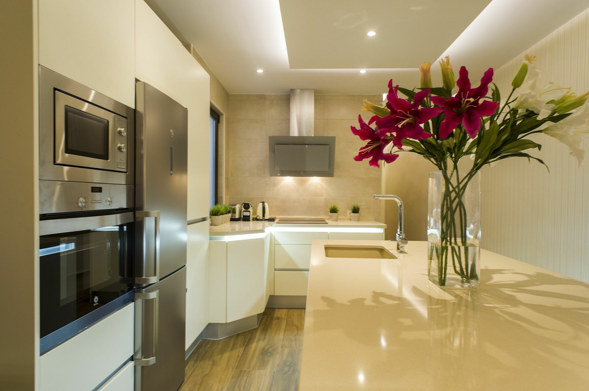 Apartment Rent Isidro Segovia *