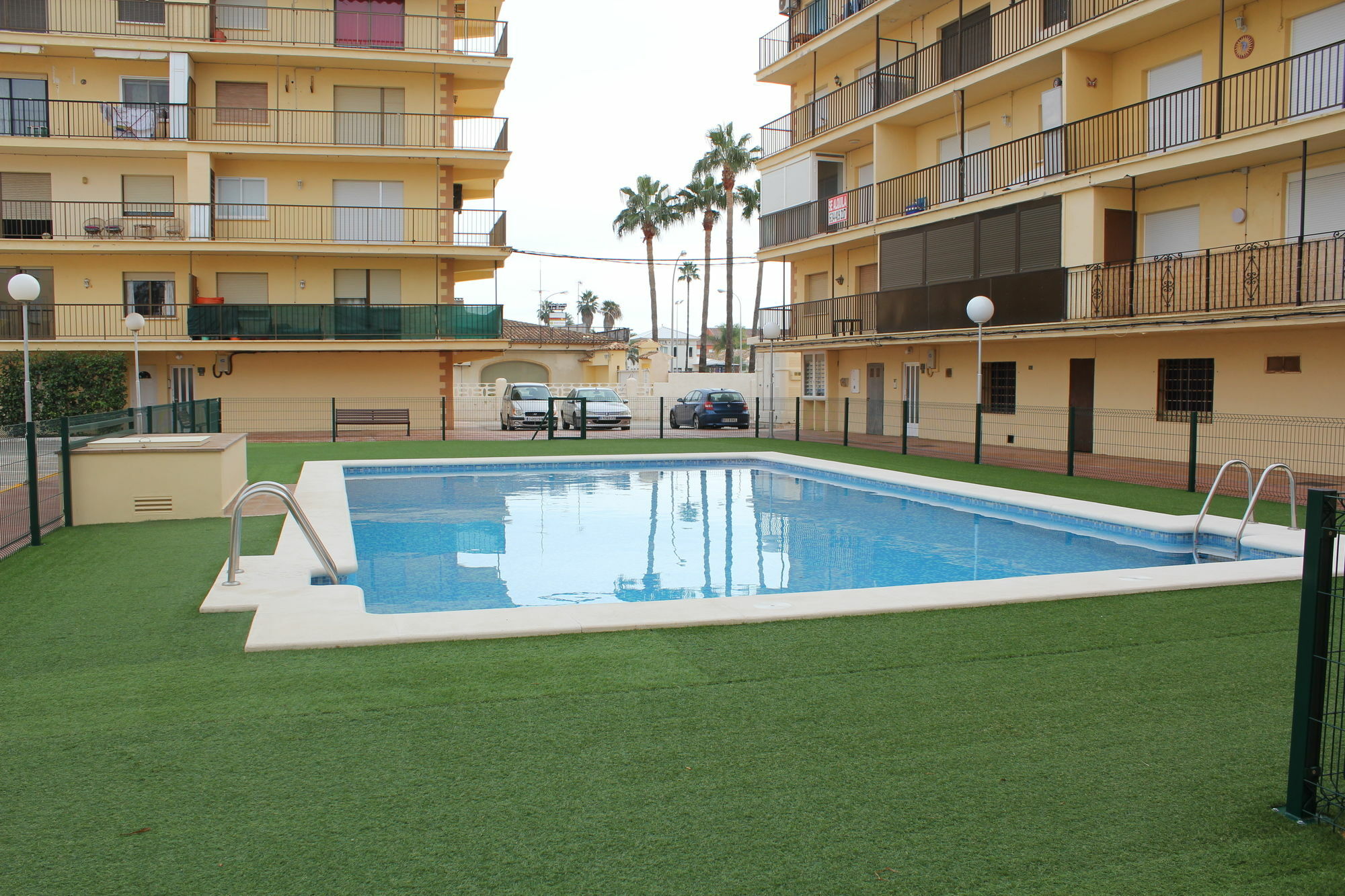 Trompeta Azul Denia
