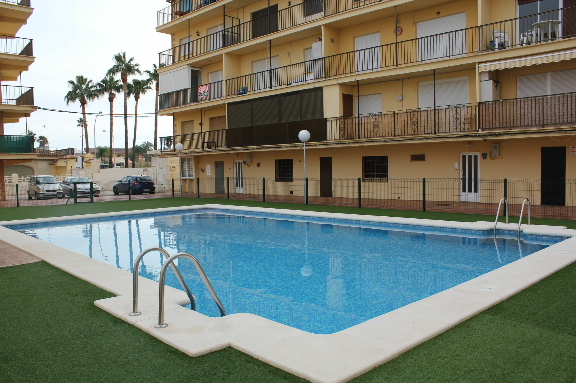 Trompeta Azul Denia
