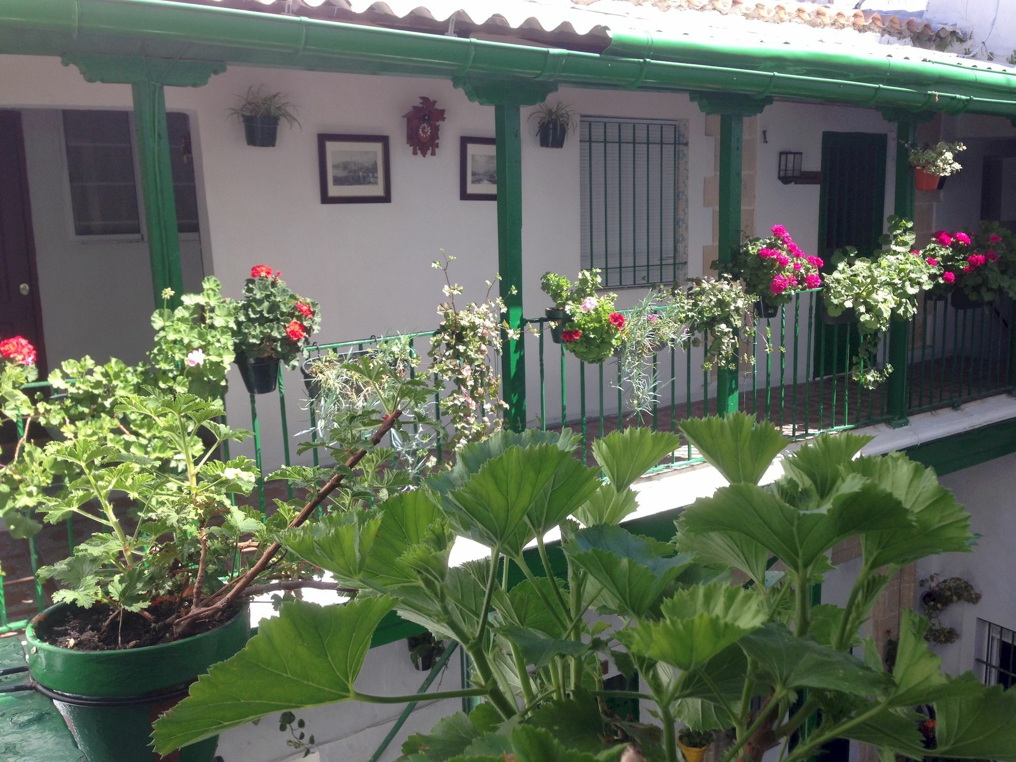 Jerez Apartamento