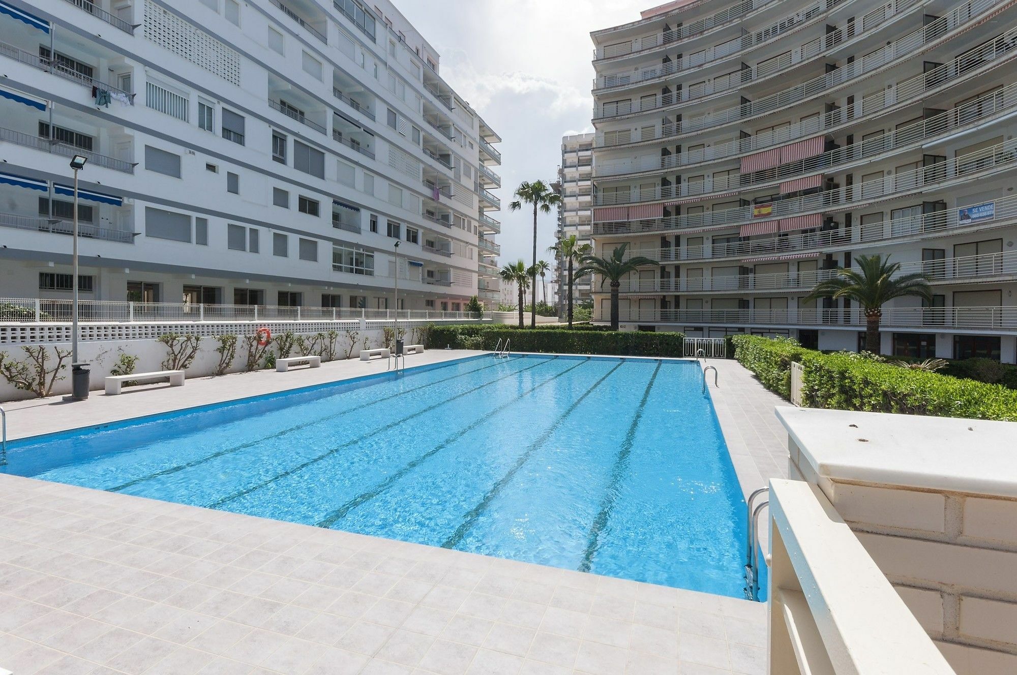 Hawai * Gandia